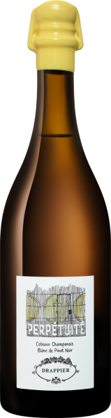 Вино Белое Сухое Drappier Perpetuite Blanc de Pinot Noir Coteaux Champenois 0,75 л фото