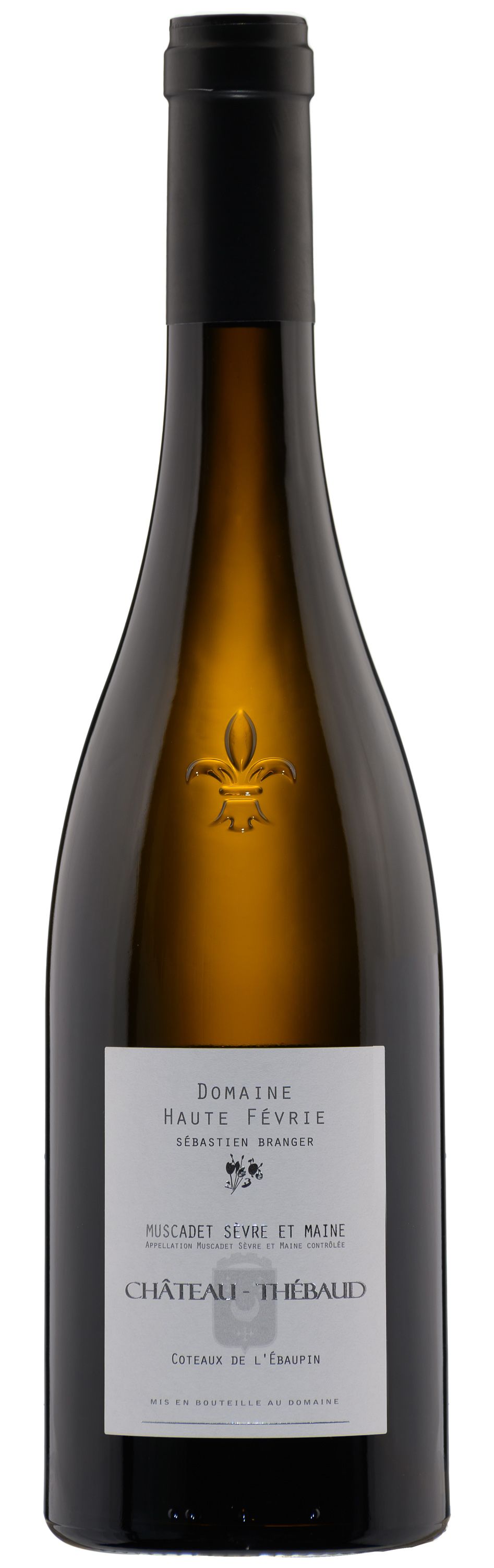 Вино Белое Сухое Domaine La Haute Fevrie Chateau-Thebaud Coteaux De l'Ebeaupin 2020 0,75 л фото