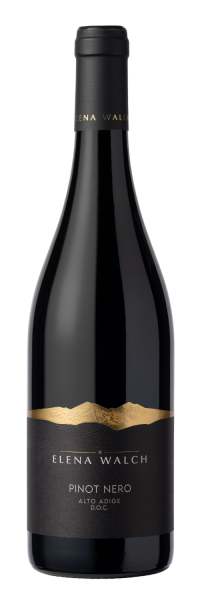 Вино Красное Сухое Elena Walch Pinot Nero Alto Adige 2025 0,75 л фото