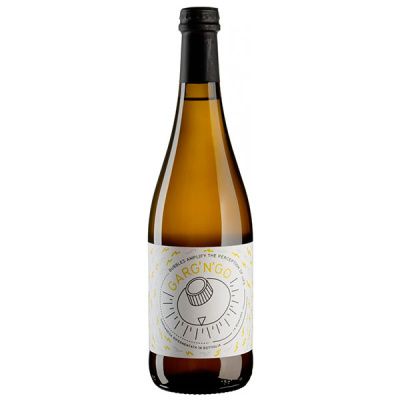 Вино игристое Белое Экстра Брют Garg'n'Go Veneto 2020 0,75 л фото