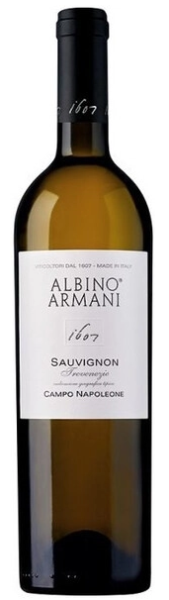 Вино Белое Сухое Albino Armani Sauvignon Campo Napoleone Trevenezie 2023 0,75 л фото