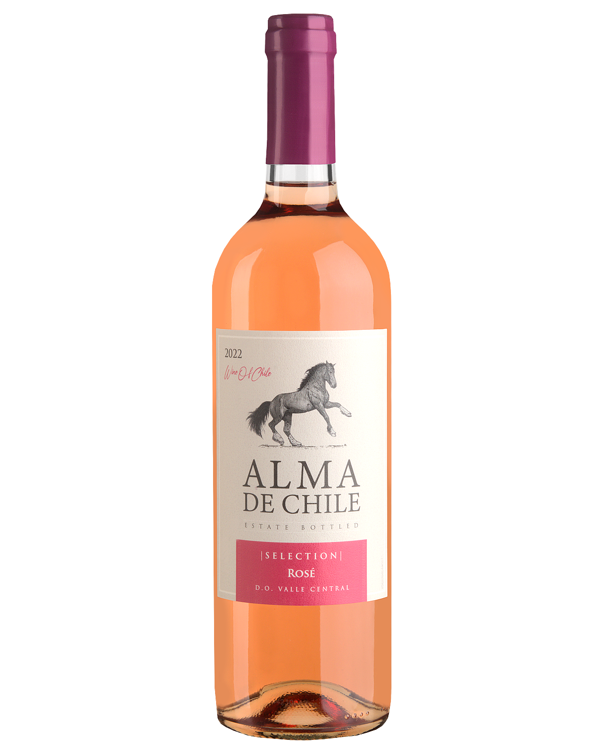 Вино Розовое Сухое Alma de Chile Rose 2023 0,75 л фото