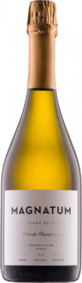 Вино игристое Белое Брют Magnatum Blanc de Blancs Brut 2023 0,75 л фото