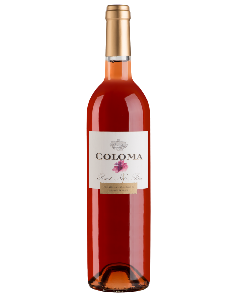 Вино Розовое Сухое Coloma Pinot Noir Rose 2022 0,75 л фото