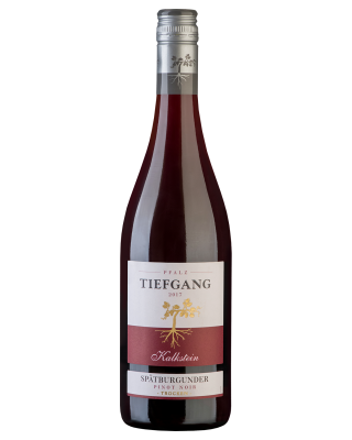 Вино Тиефганг Шпетбургундер Калкштейн 2023 красное сухое 13% 0,75 л фото