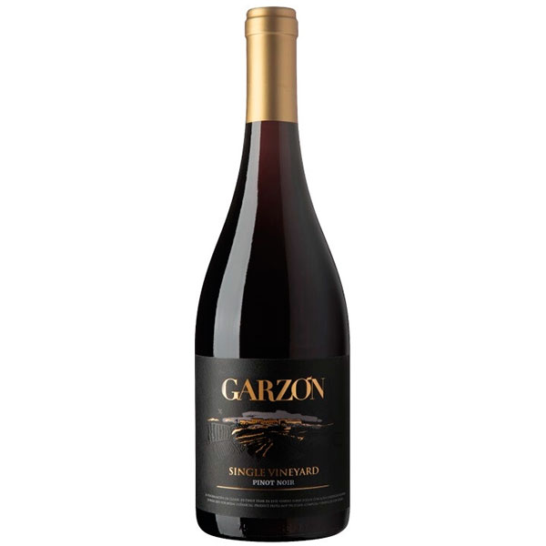 Вино Красное Сухое Garzon Single Vineyard Pinot Noir Maldonado 2020 0,75 л фото