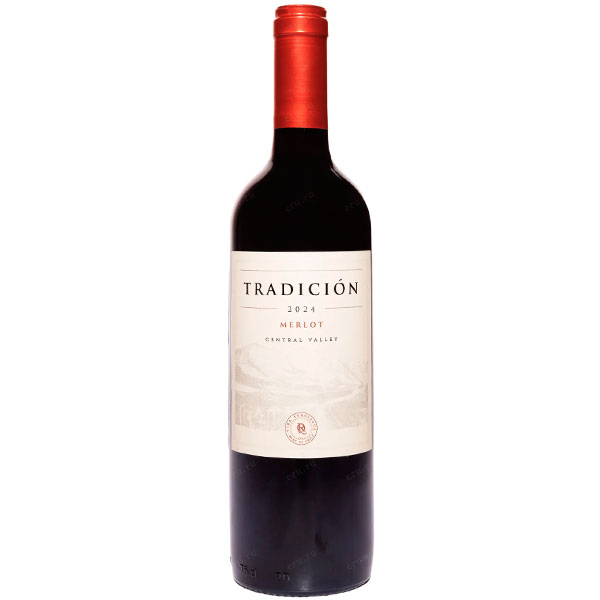 Вино Красное Сухое Vina Reguingua Tradicion Merlot Valle Central 2024 0,75 л фото