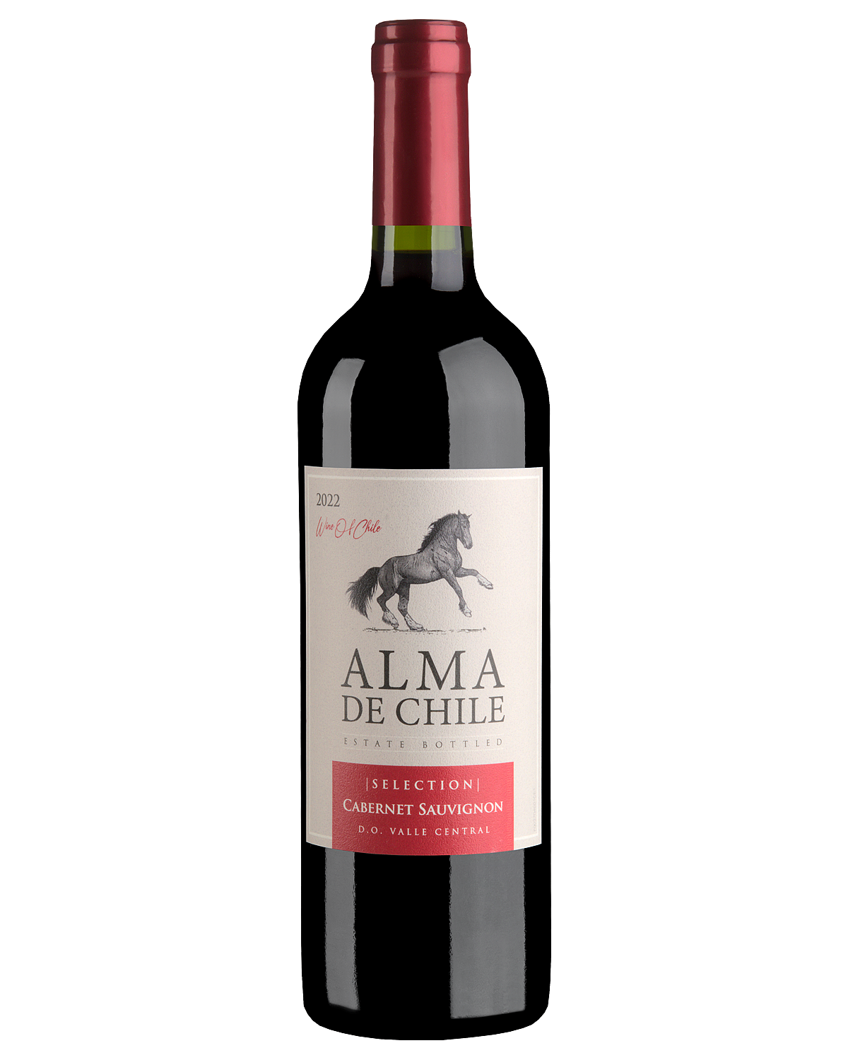 Вино Красное Сухое Alma de Chile Cabernet Sauvignon 2022 0,75 л фото