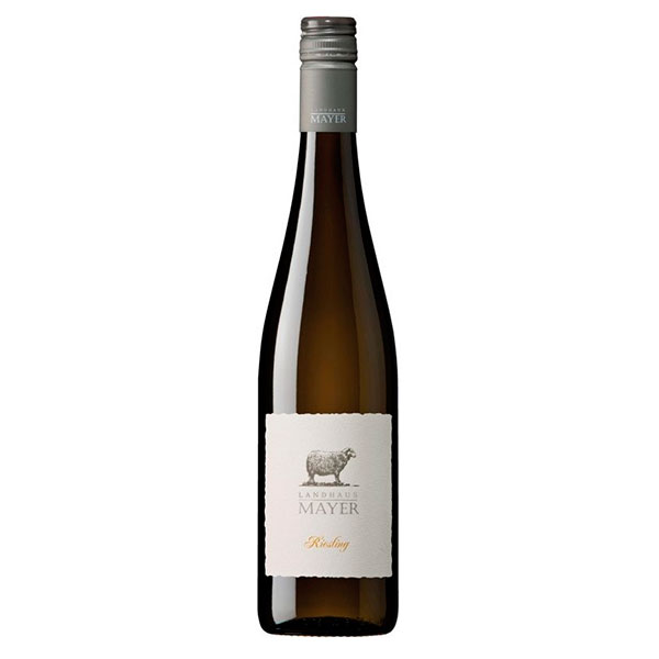 Вино Белое Сухое Landhaus Mayer Riesling Niederosterreich 2024 0,75 л фото