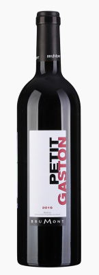 Вино Пти Гастон Мадиран 2017 Красное Сухое 13,5% 0,75 л фото