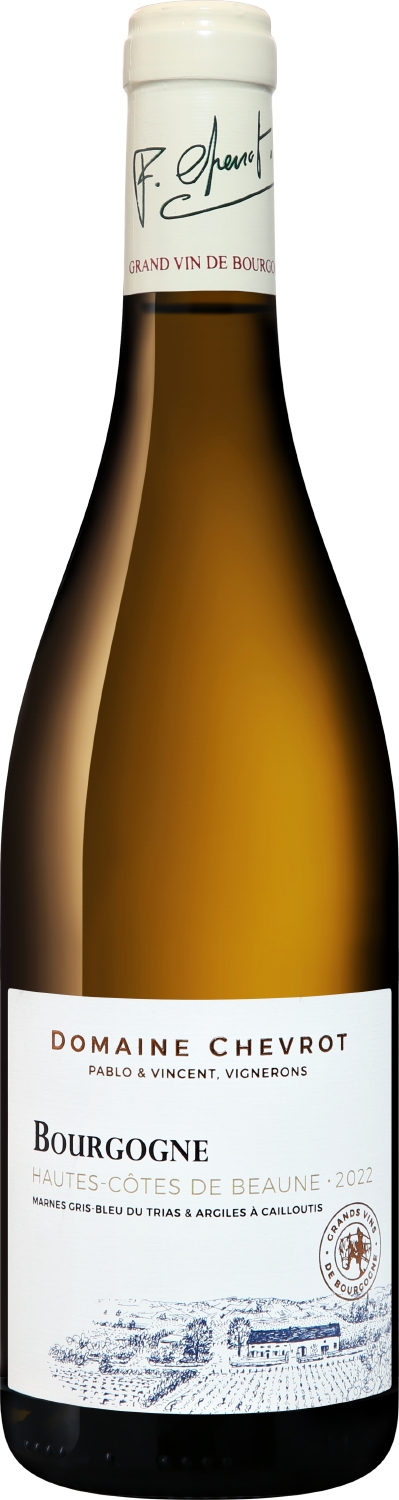 Вино Белое Сухое Domaine Chevrot et Fils Bourgogne Hautes-Cotes de Beaune 2022 0,75 л фото