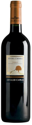 Вино Красное Сухое Arnaldo Caprai Anima Umbra Rosso Umbria 2019 0,75 л фото