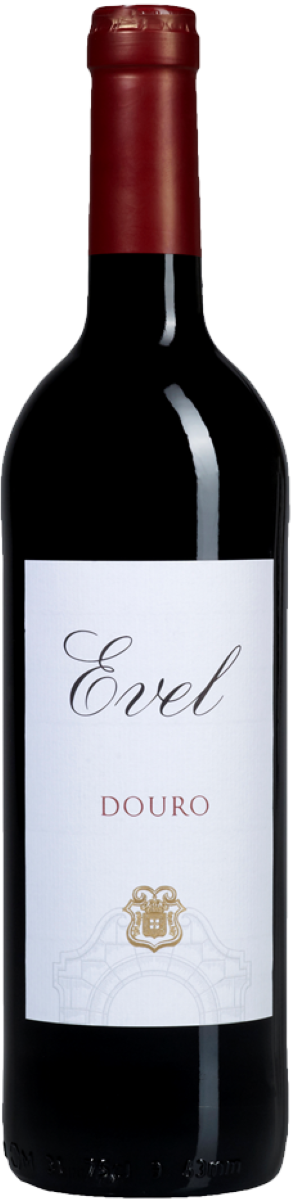 Вино Красное Сухое Real Companhia Velha Evel Tinto 2021 0,75 л фото