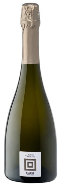 Вино игристое Белое Брют Chateau Tamagne Select Blanc Brut 0,75 л фото