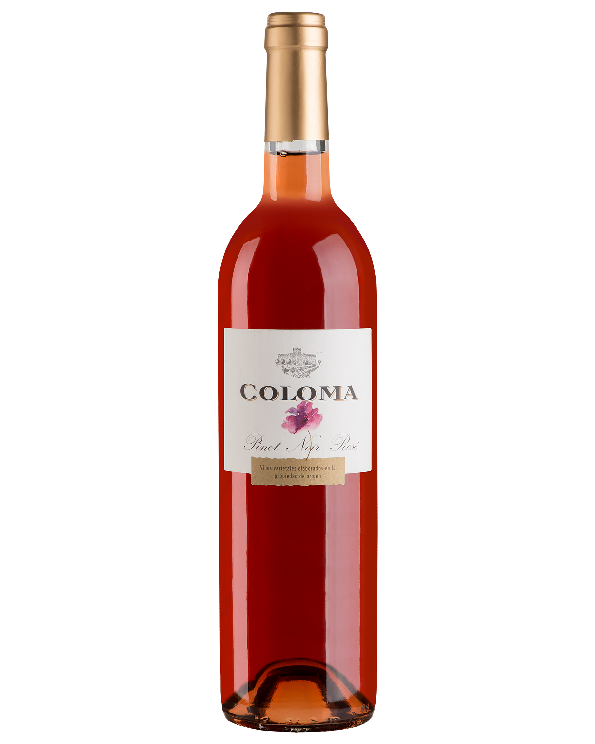 Вино Розовое Сухое Coloma Pinot Noir Rose 2022 0,75 л фото