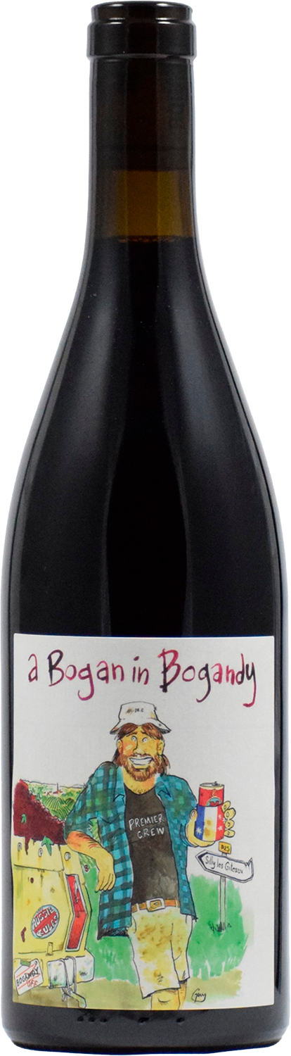 Вино Красное Сухое Mark Haisma Bogan In Bogandy Coteaux Bourguignons 2022 0,75 л фото