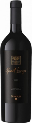 Вино Нортон Гернот Лангес 2020 Красное Сухое 15% 0,75 л фото