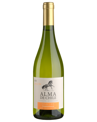 Вино Белое Сухое Alma de Chile Chardonnay 2023 0,75 л фото