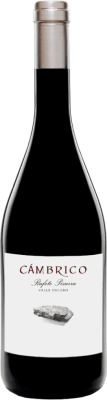 Вино Красное Сухое Cambrico Rufete Pizarra Valle Oscuro 2016 0,75 л фото