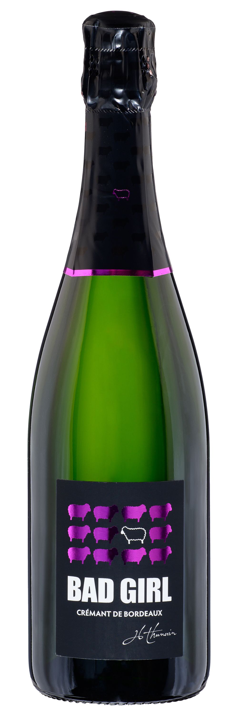 Вино игристое Белое Брют Thunevin Bad Girl Cremant De Bordeaux 2023 0,75 л фото