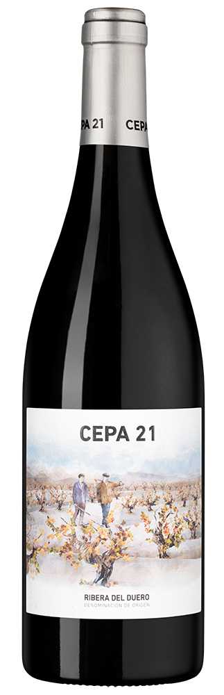 Вино Красное Сухое Cepa 21 Ribera Del Duero 2022 0,75 л фото