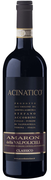 Вино Красное Полусухое Stefano Accordini Acinatico Amarone della Valpolicella Classico 2021 0,75 л фото