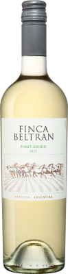 Вино Белое Сухое Finca Beltran Pinot Grigio Mendoza 2023 0,75 л фото