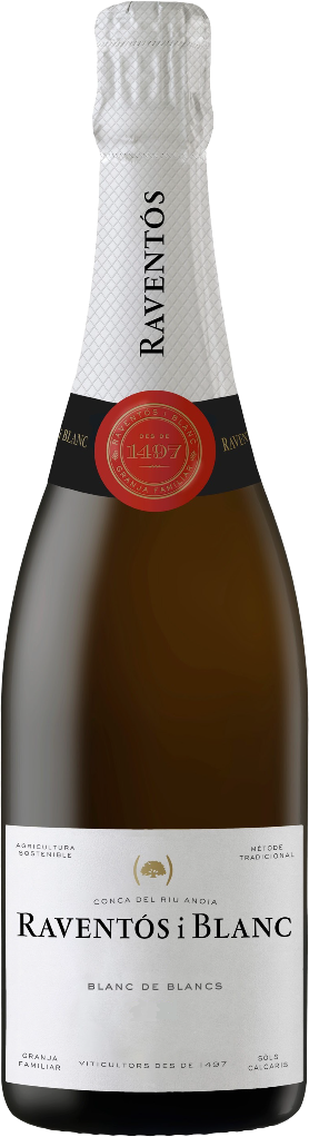 Вино игристое Белое Экстра Брют Raventos i Blanc Blanc de Blancs Penedes 2023 0,75 л фото