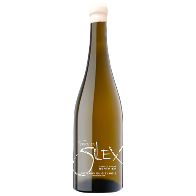 Вино Белое Сухое Clement & Florian Berthier Terre de Silex Coteaux du Giennois 2021 0,75 л фото