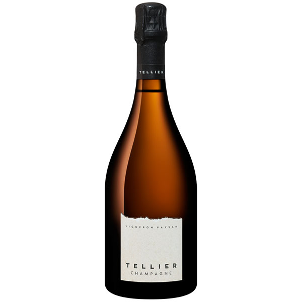 Шампанское Белое Экстра Брют Tellier Experience Nature Champagne 2016 0,75 л фото