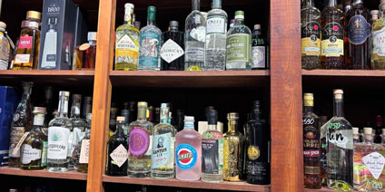 Рейтинг лучших джинов: топ-10 популярных марок для ценителей - picture