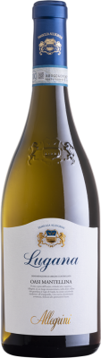 Вино Белое Сухое Allegrini Oasi Mantellina Lugana 2023 0,75 л фото