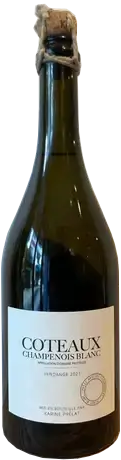Вино Белое Сухое Karine Prelat L'oeuf de K Coteaux Champenois Blanc 2022 0,75 л фото