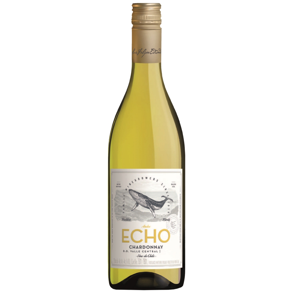 Белое Сухое Luis Felipe Edwards Andes Echo Chardonnay Valle Central