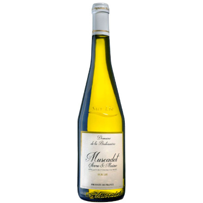 Вино Белое Сухое Domaine de La Bretonniere Muscadet Sevre et Maine Sur Lie 2020 0,75 л Вино Белое Сухое Domaine de La Bretonniere Muscadet Sevre et Maine Sur Lie 2020 0,75 л фото