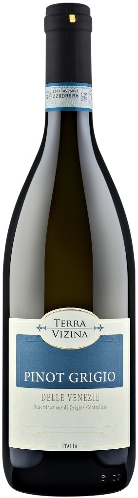 Вино Белое Сухое Terra Vizina Pinot Grigio delle Venezie 2024 0,75 л фото
