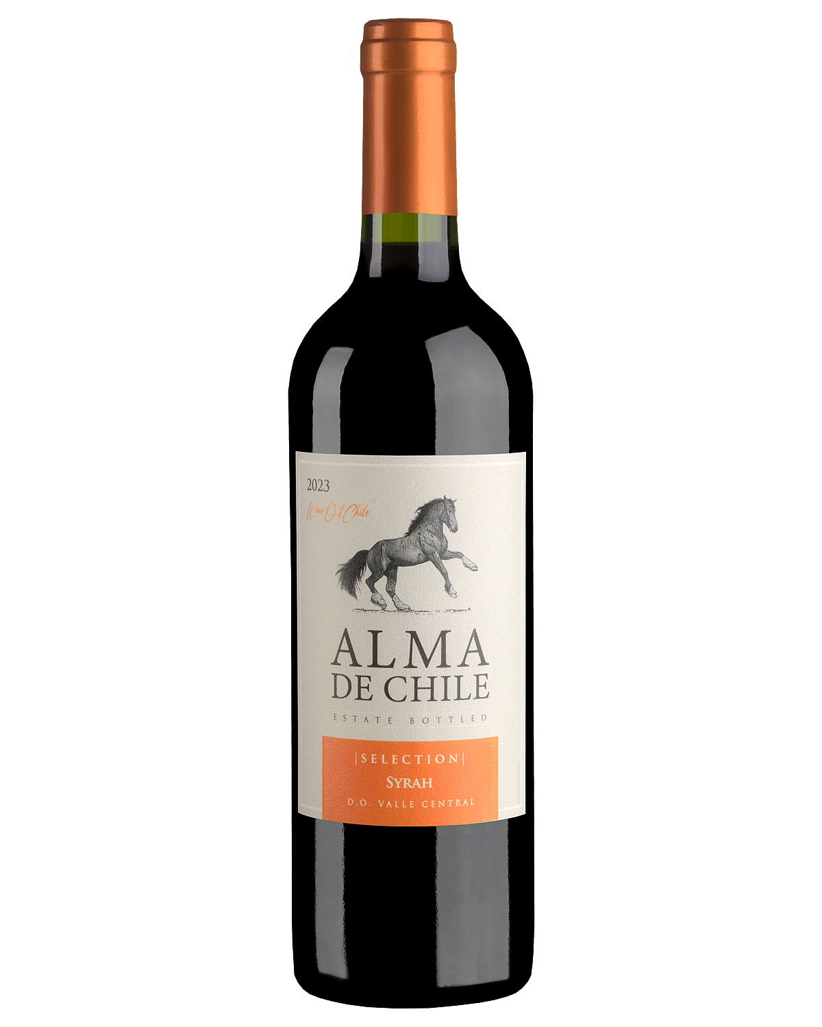 Вино Красное Сухое Alma de Chile Syrah 2023 0,75 л фото