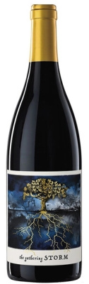 Вино Красное Полусухое The Gathering Storm Red 2023 0,75 л фото