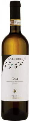 Вино Белое Сухое Colle Belvedere Splendore Gavi 2023 0,75 л фото