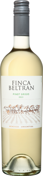 Вино Белое Сухое Finca Beltran Pinot Grigio Mendoza 2023 0,75 л фото