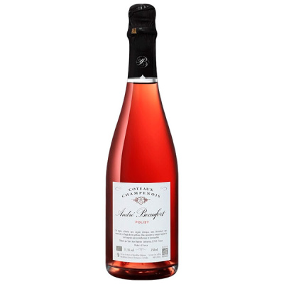 Вино Красное Сухое Andre Beaufort Polisy Rouge Coteaux Champenois 2019 0,75 л фото