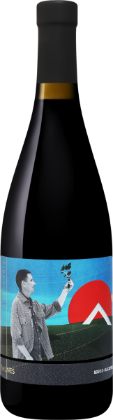 Вино Красное Сухое Fanagoria The Lines Merlot-Cabernet Kuban Taman Peninsula 2020 0,75 л фото