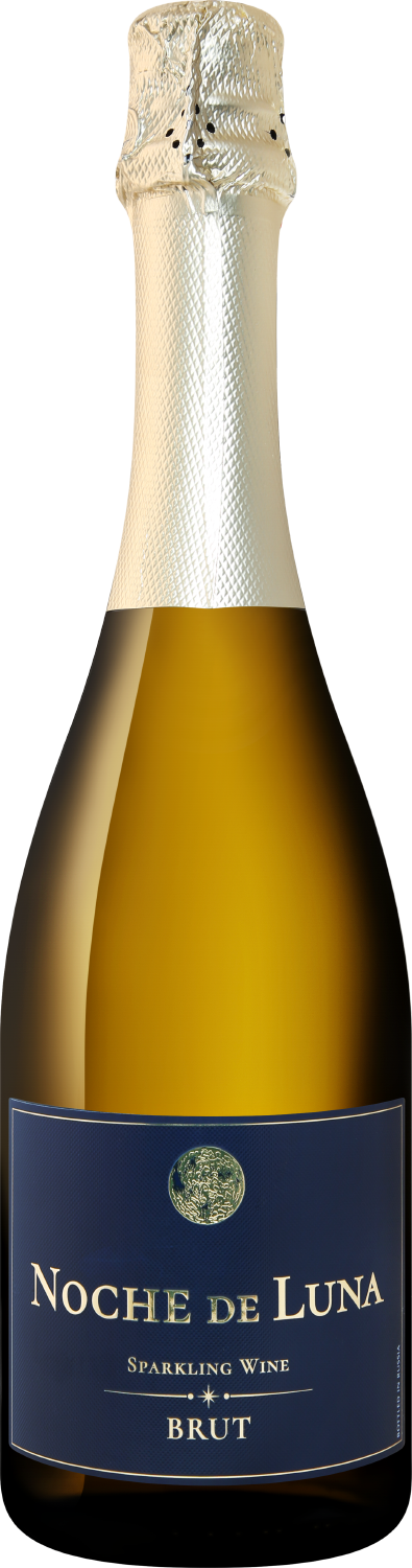 Вино игристое Белое Брют Noche de Luna Brut 0,75 л фото