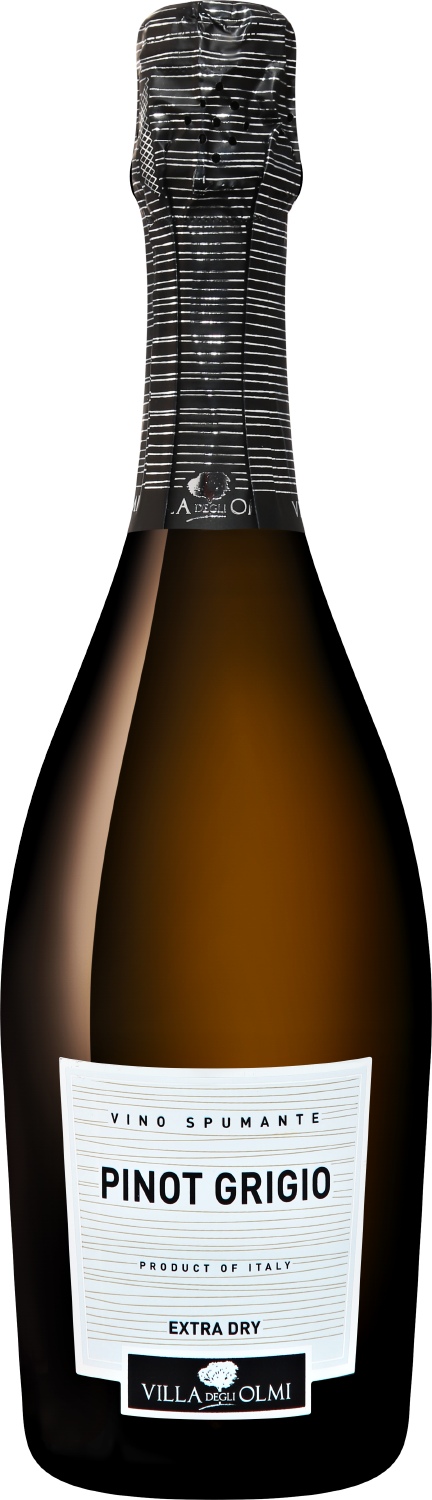 Вино игристое Белое Брют Villa Degli Olmi Pinot Grigio Spumante Extra Dry 0,75 л фото