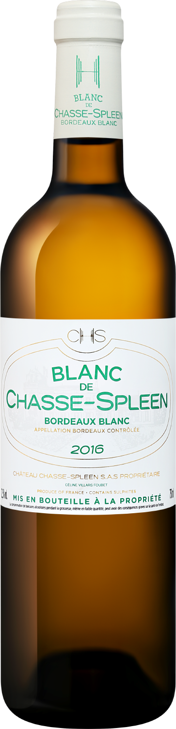 Вино Белое Сухое Chateau Chasse-Spleen Blanc de Chasse-Spleen Bordeaux 2016 0,75 л фото