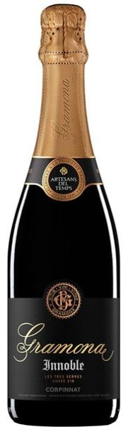 Вино игристое Белое Экстра Брют Gramona Innoble Cuvee 319 Corpinnat 0,75 л фото