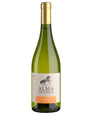Вино Белое Полусладкое Alma de Chile Chardonnay semisweet 2023 0,75 л фото