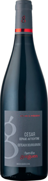 Вино Красное Сухое Celine et Frederic Gueguen Cesar Coteaux Bourguignons 2023 0,75 л фото