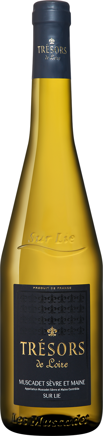 Вино Белое Сухое Joseph Verdier Tresors de Loire Muscadet Sevre et Maine Sur Lie 2023 0,75 л фото