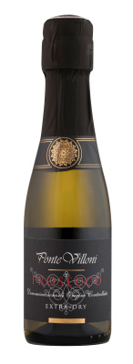 Вино игристое Белое Брют Ponte Villoni Prosecco 2021 0,2 л фото